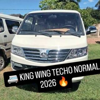 KING LONG WING - foto