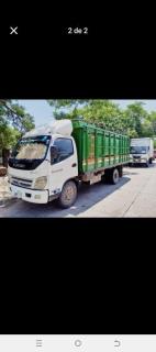 FOTON OLLIN - foto